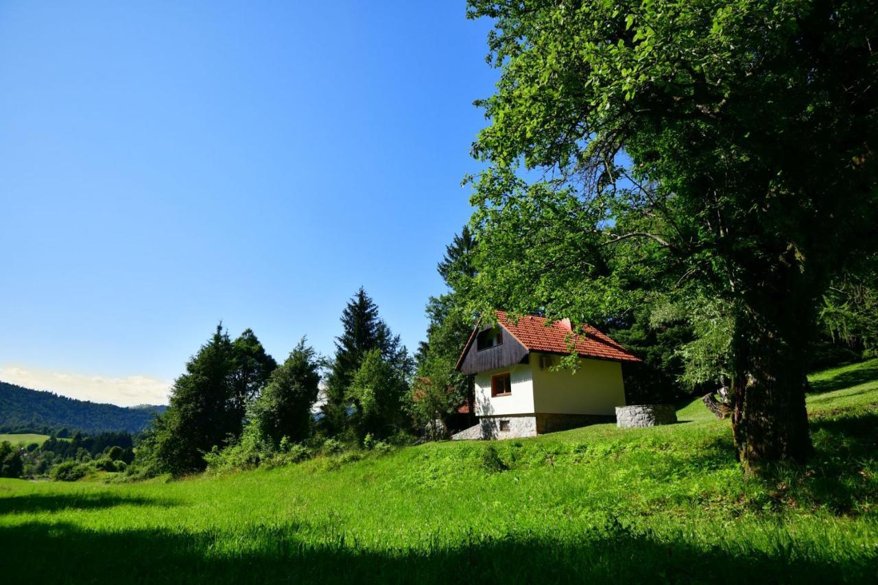 瓦赫尼卡Forest House别墅 外观 照片